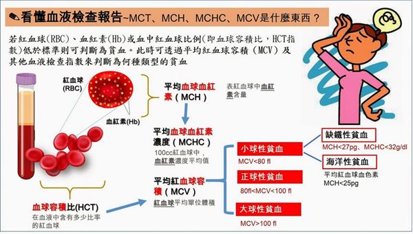 這是一張圖片